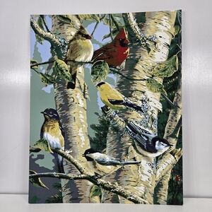 Songbird Favorites Finished Acrylic Painting Paint By Number Red Cardinal 16x20